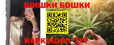 СК Дубна