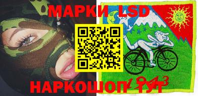 СК Дубна