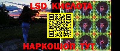СК Дубна