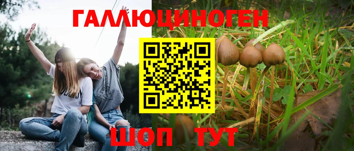 Псилоцибиновые грибы GOLDEN TEACHER  Вход с VPN  Мариинск  Псилоцибиновые грибы мицелий 